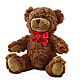 Adorable Plush Bear – BRICK HOUSE FLORIST & GIFTS, Staunton IL