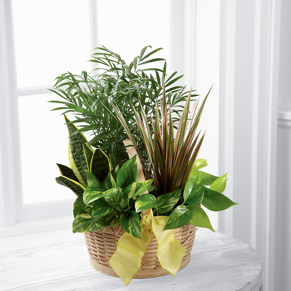French Garden – BRICK HOUSE FLORIST & GIFTS, Staunton IL