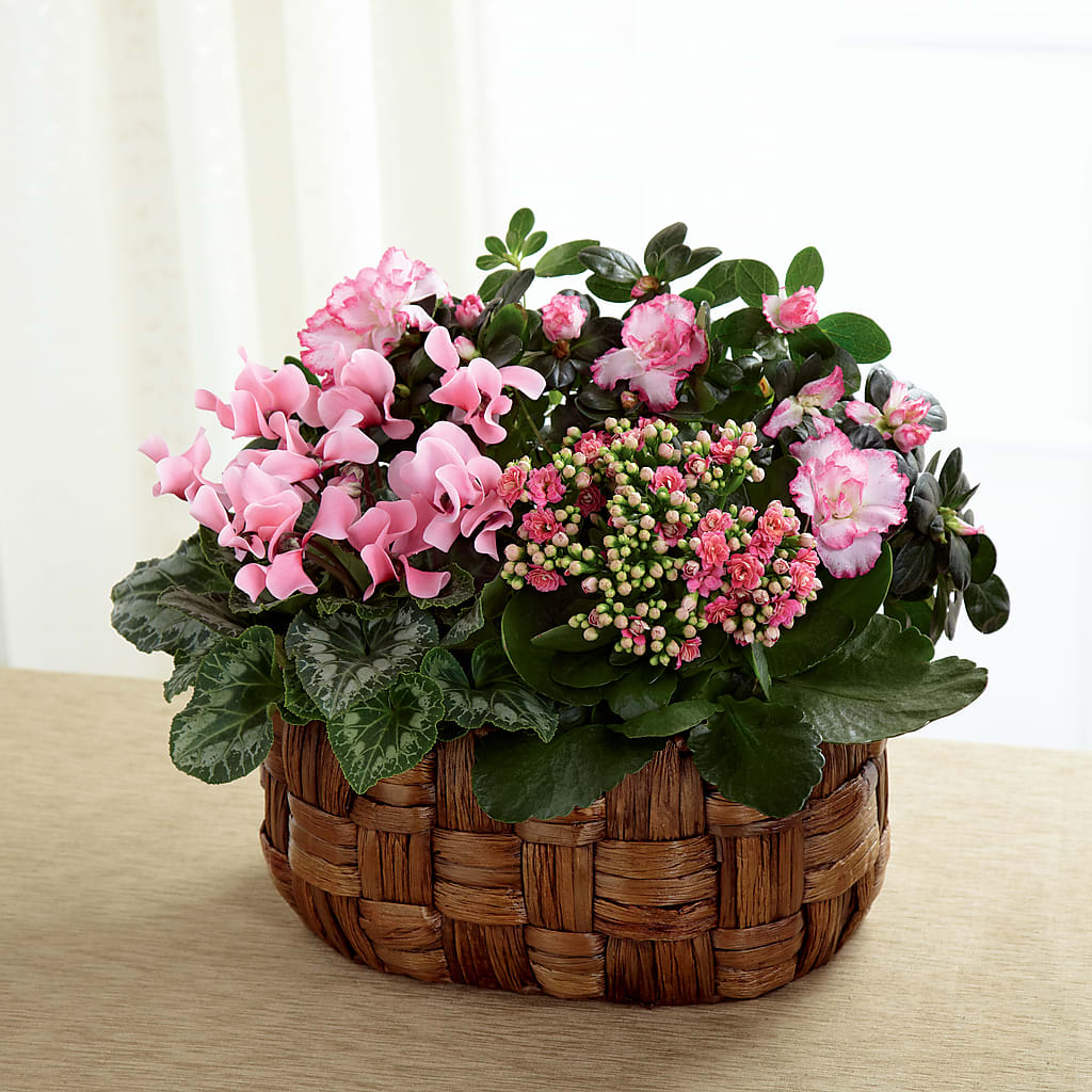 Pink Assortment – BRICK HOUSE FLORIST & GIFTS, Staunton IL