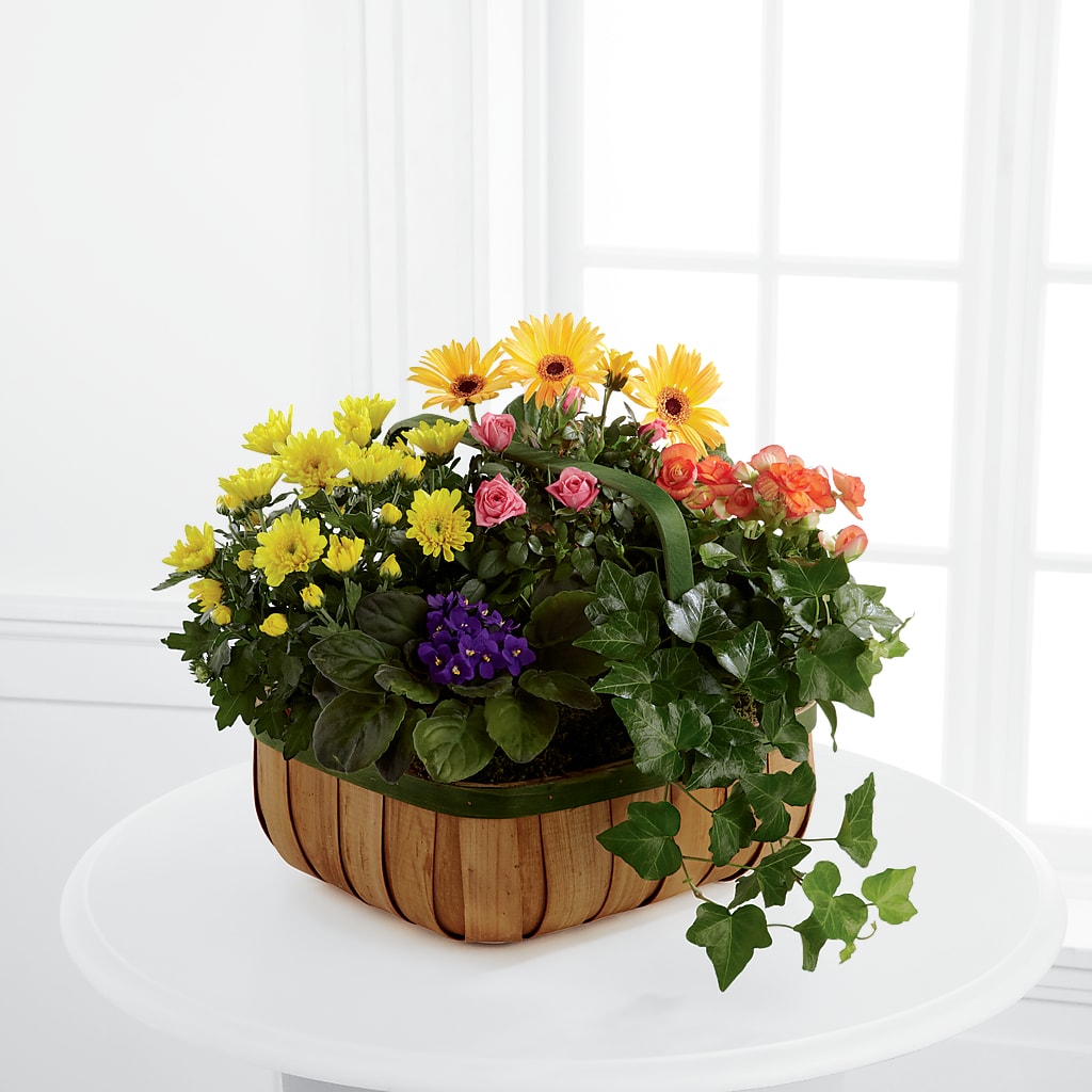 Gentle Blossoms Basket – BRICK HOUSE FLORIST & GIFTS, Staunton IL