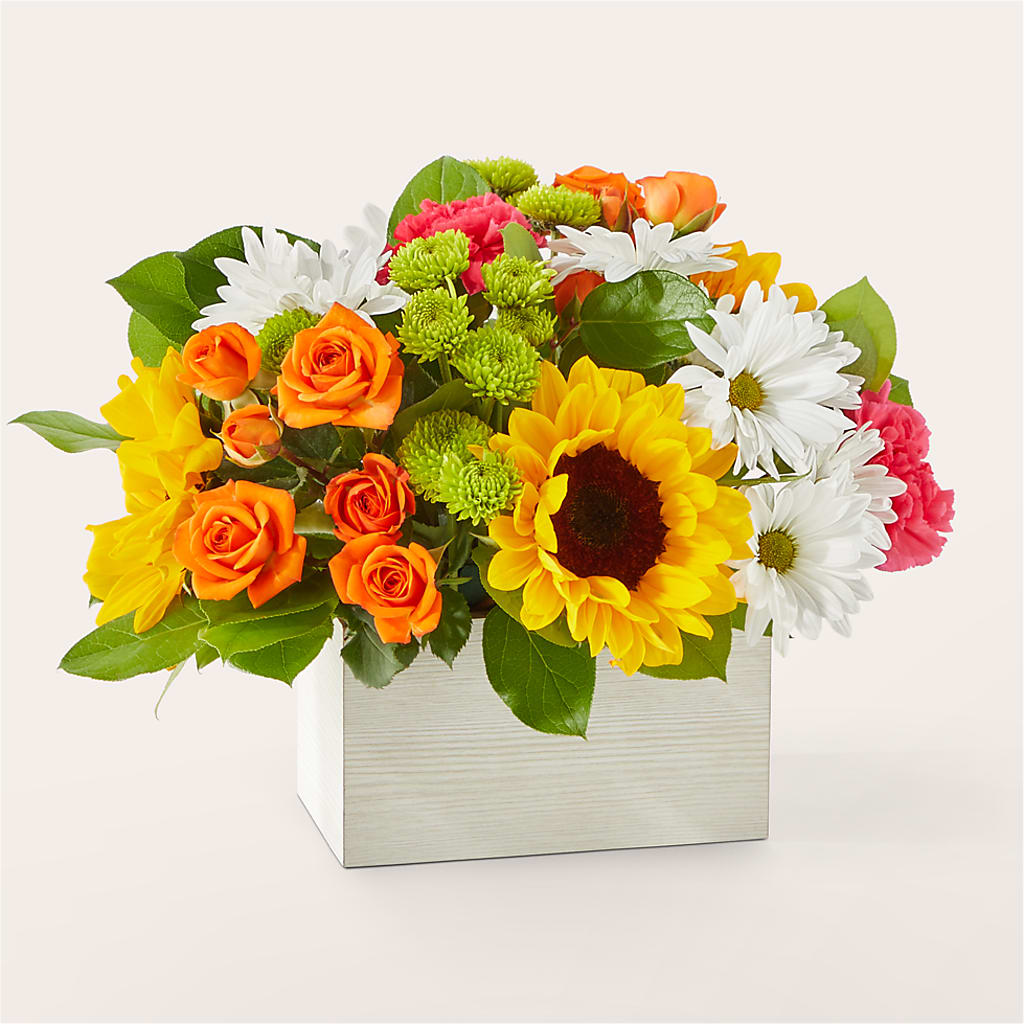 Sun-drenched Blooms Box Bouquet – BRICK HOUSE FLORIST & GIFTS, Staunton IL