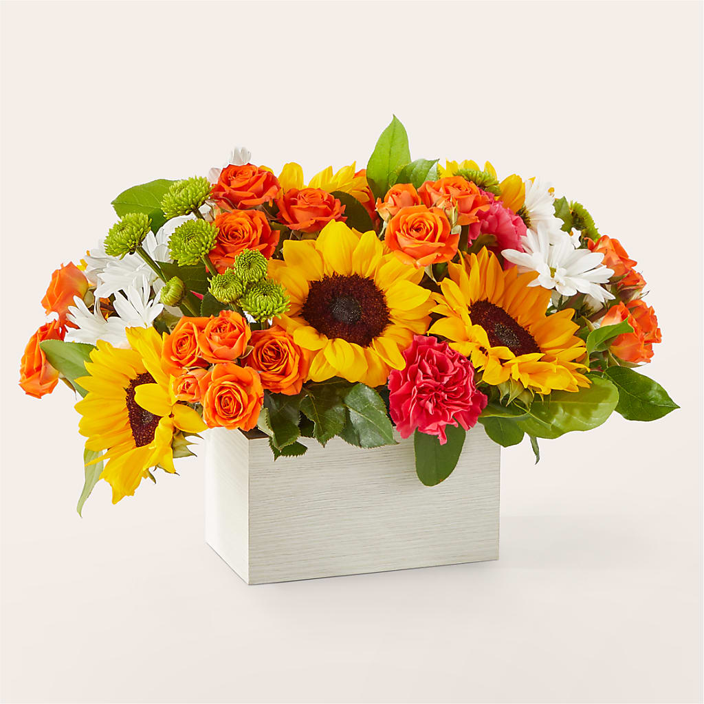Sun-drenched Blooms Box Bouquet – BRICK HOUSE FLORIST & GIFTS, Staunton IL