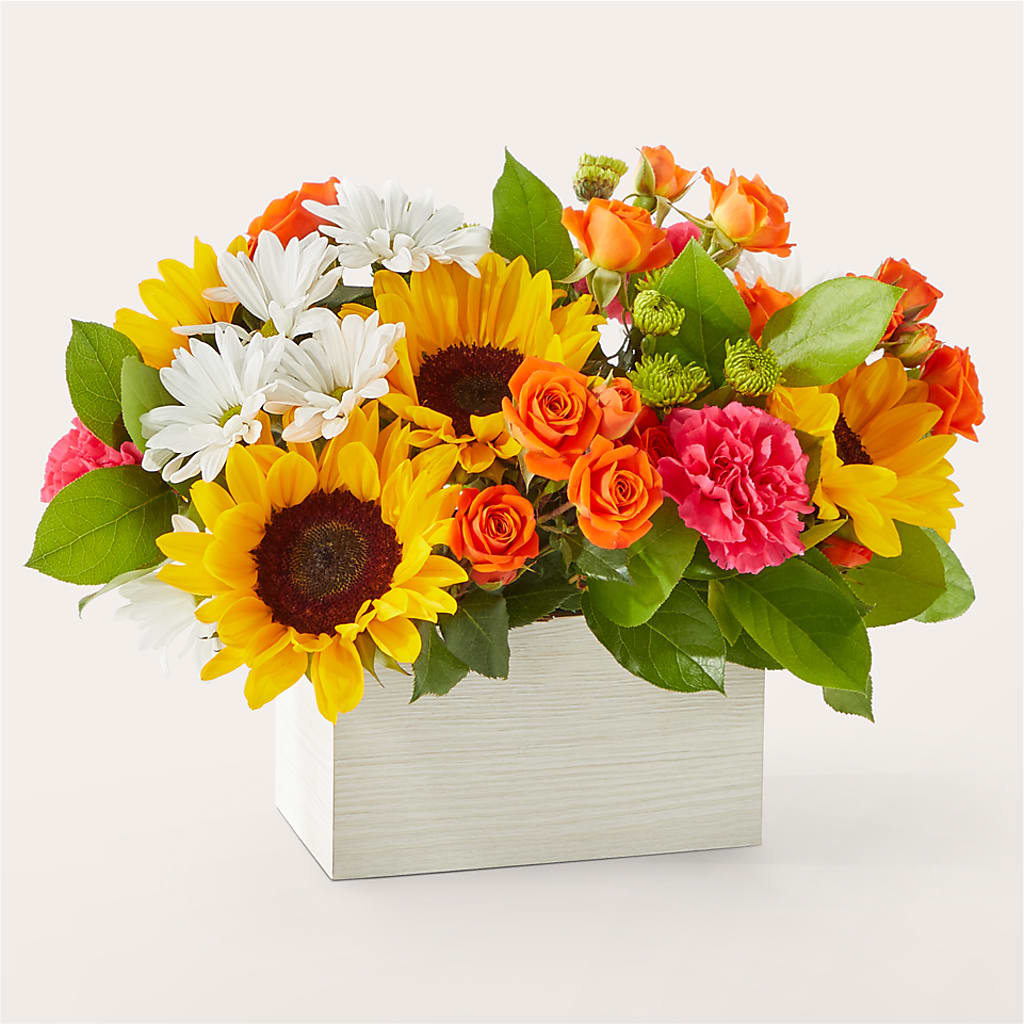 Sun-drenched Blooms Box Bouquet – BRICK HOUSE FLORIST & GIFTS, Staunton IL