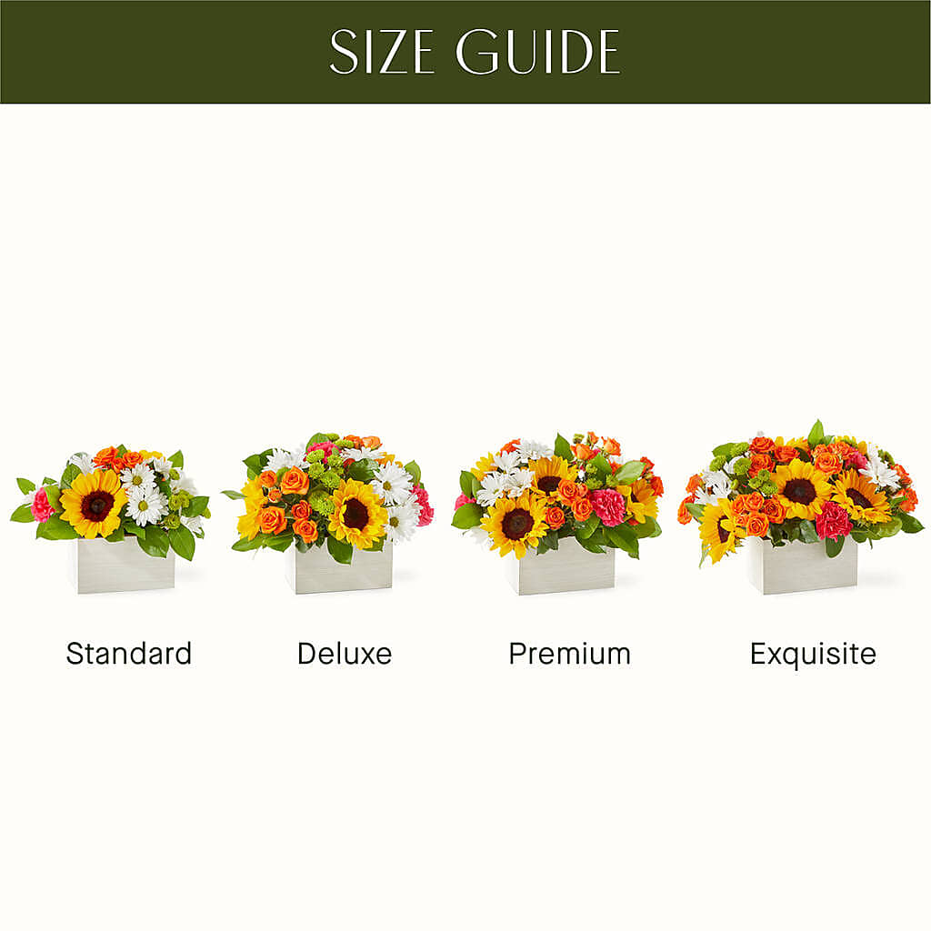 Sun-drenched Blooms Box Bouquet – BRICK HOUSE FLORIST & GIFTS, Staunton IL
