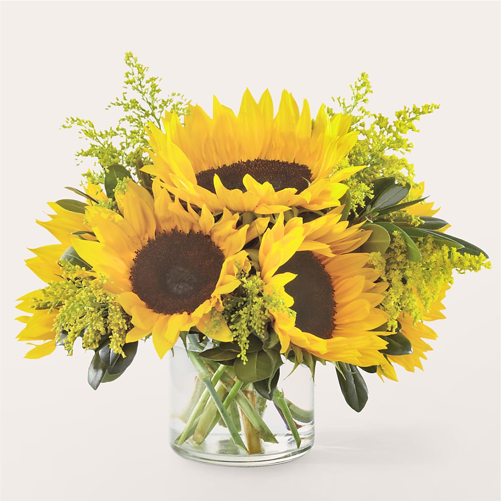 Beaming Sunflower Bouquet – BRICK HOUSE FLORIST & GIFTS, Staunton IL