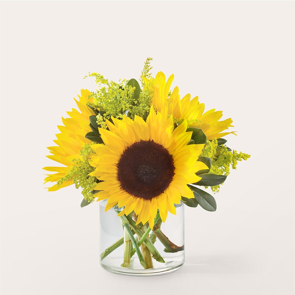 Beaming Sunflower Bouquet – BRICK HOUSE FLORIST & GIFTS, Staunton IL