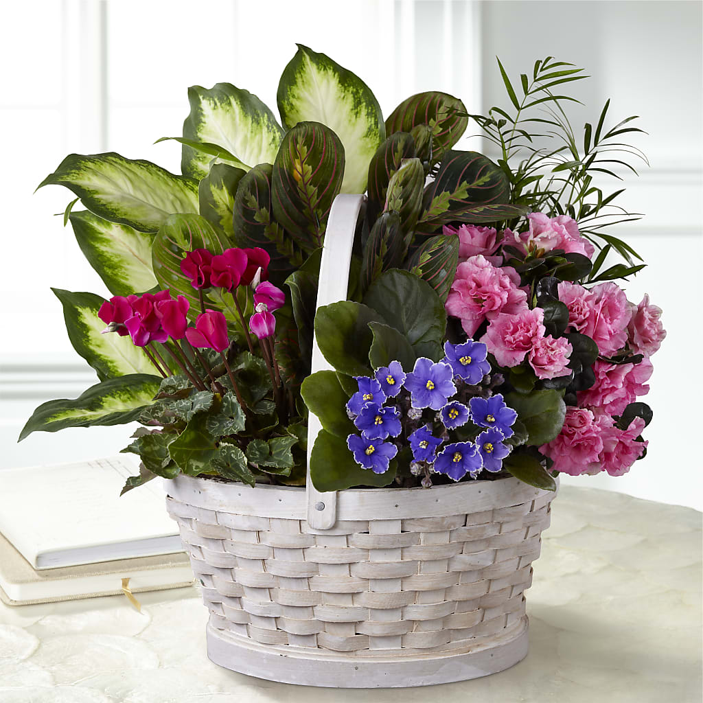 Peaceful Garden Planter – BRICK HOUSE FLORIST & GIFTS, Staunton IL