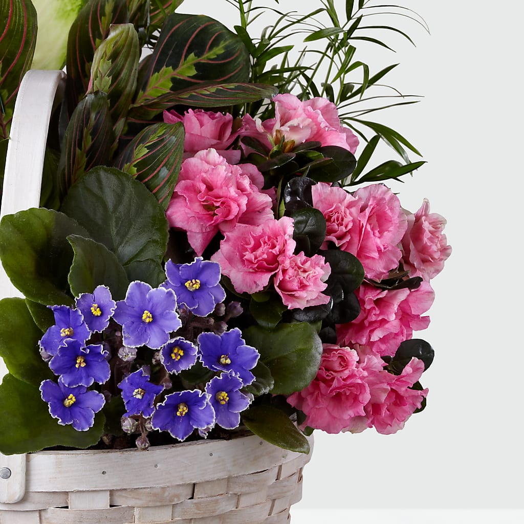 Peaceful Garden Planter – BRICK HOUSE FLORIST & GIFTS, Staunton IL