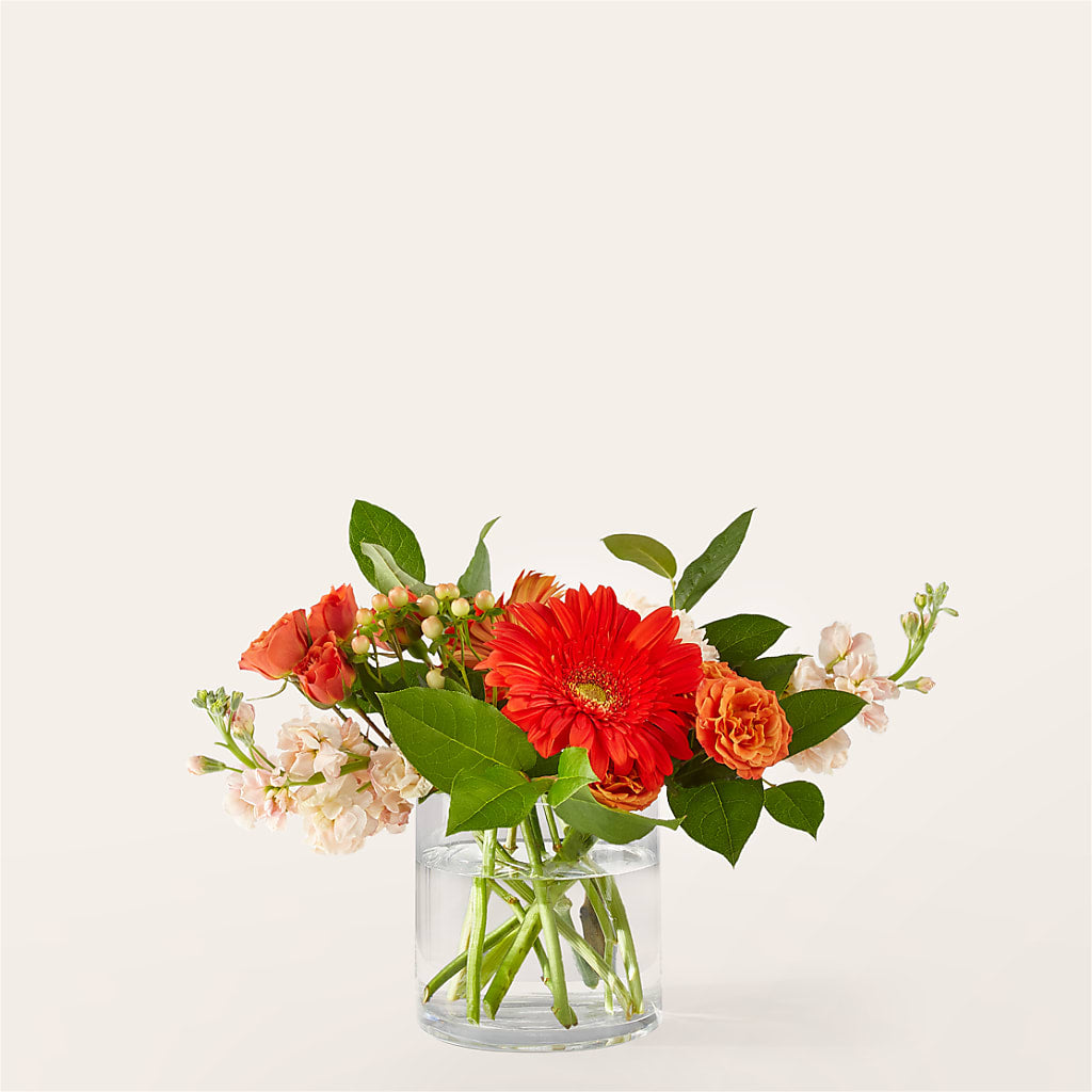 Paloma Please Bouquet – BRICK HOUSE FLORIST & GIFTS, Staunton IL
