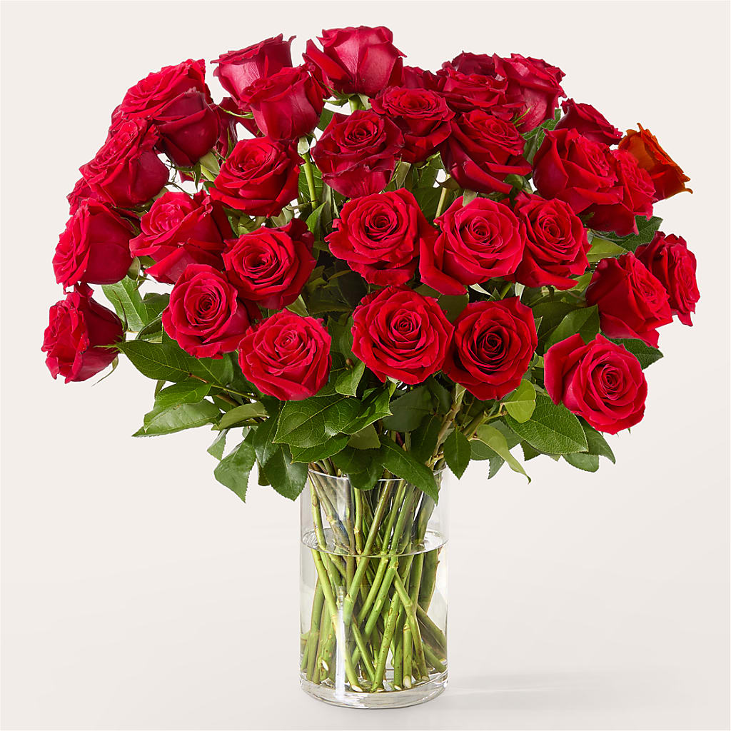 The One Red Rose Bouquet – BRICK HOUSE FLORIST & GIFTS, Staunton IL