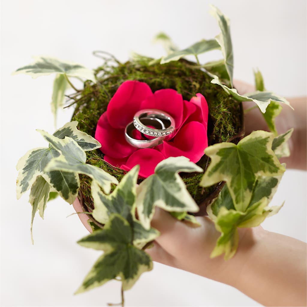 Lila Rose Ring Nest – BRICK HOUSE FLORIST & GIFTS, Staunton IL