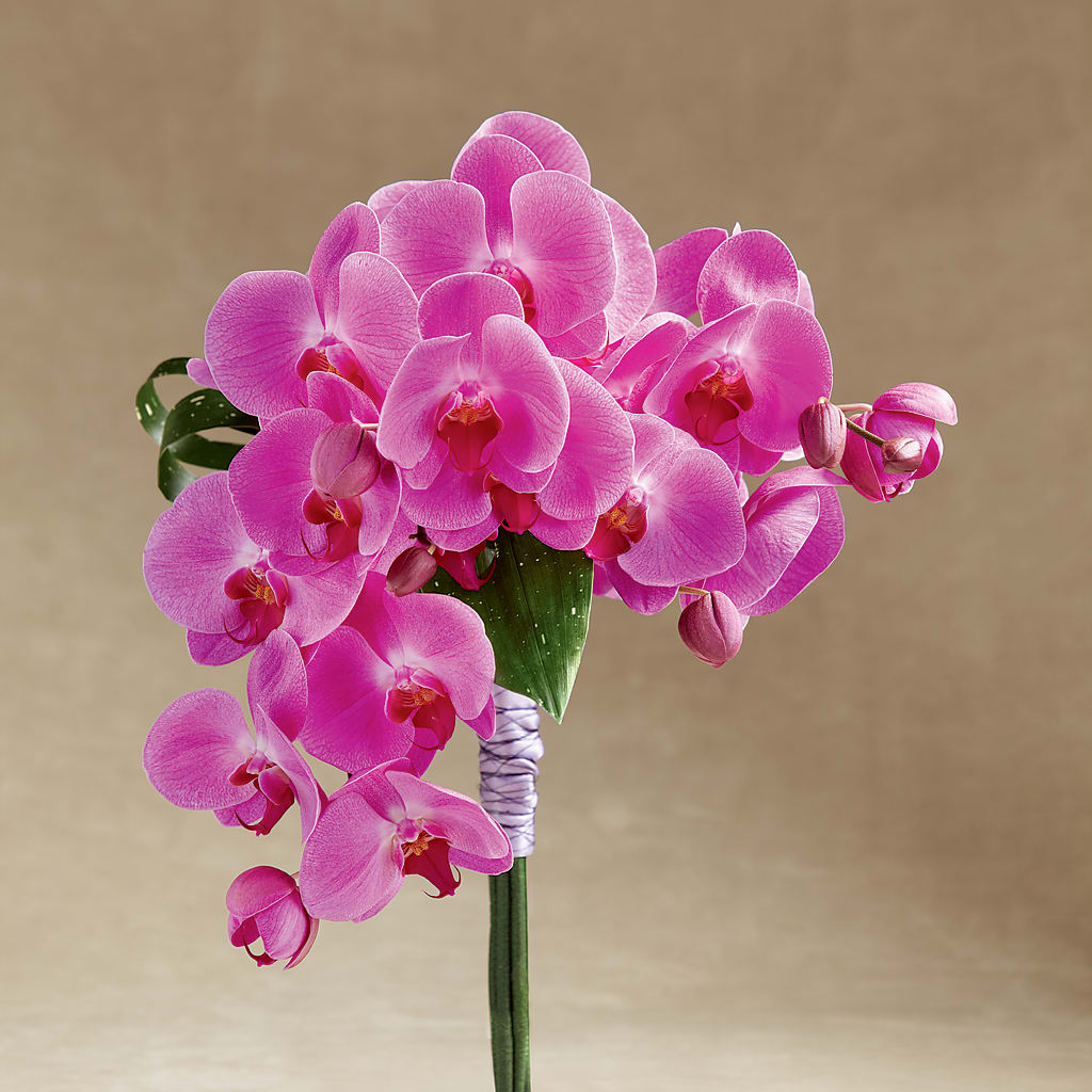 Glorious Bouquet – BRICK HOUSE FLORIST & GIFTS, Staunton IL