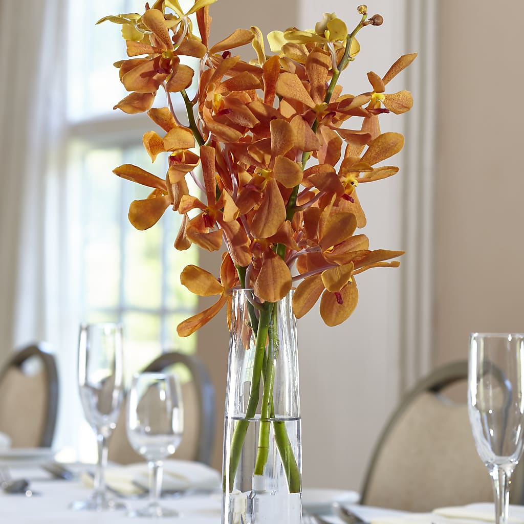 Orange Mokara Bud Vase – BRICK HOUSE FLORIST & GIFTS, Staunton IL