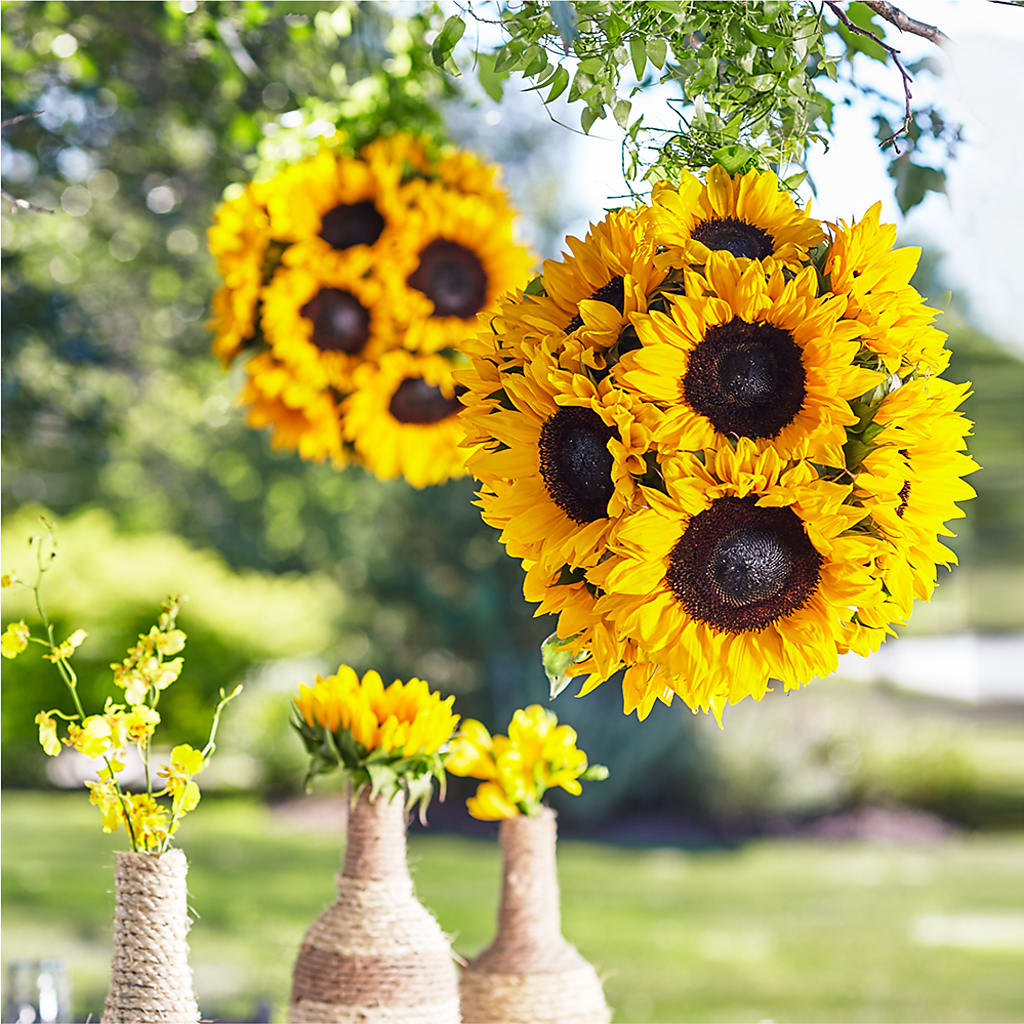 Sublime Garden Hanging Arrangement – BRICK HOUSE FLORIST & GIFTS, Staunton IL
