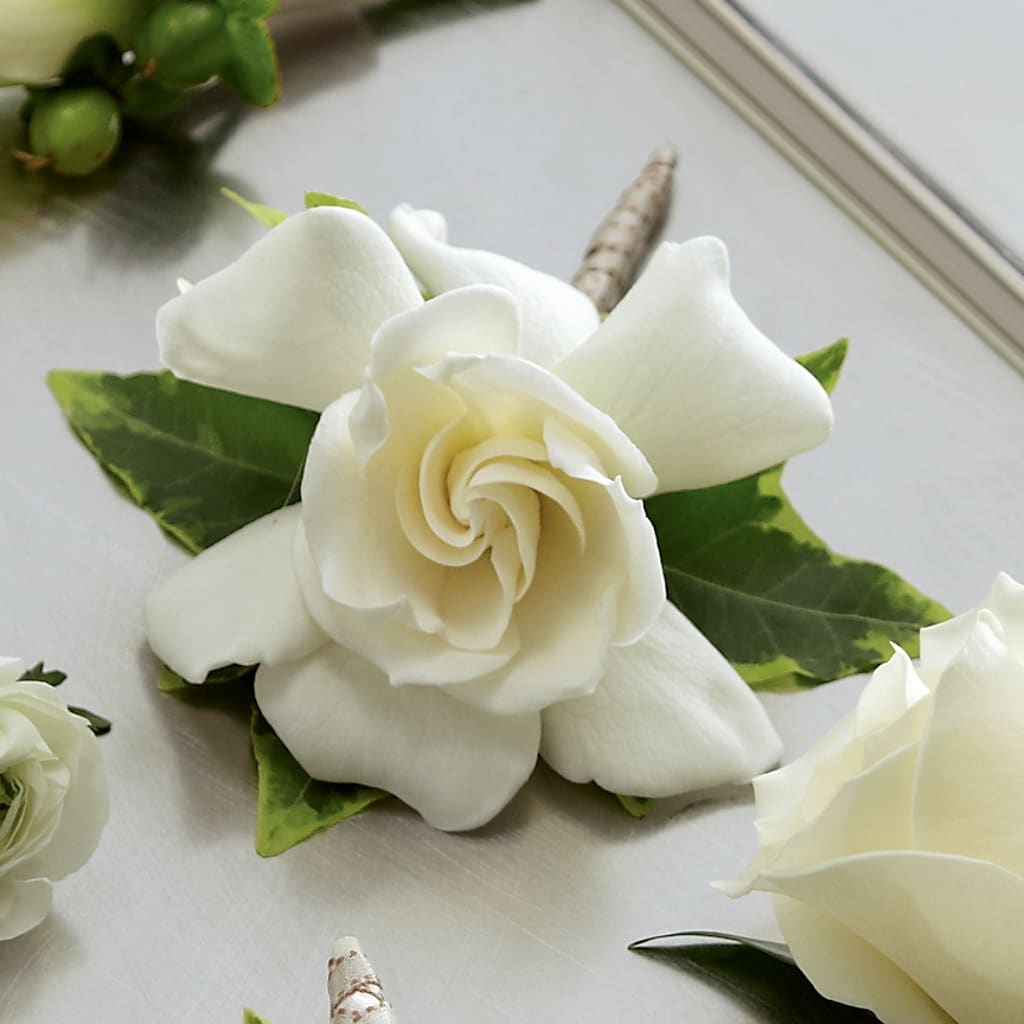 Gardenia Boutonniere – BRICK HOUSE FLORIST & GIFTS, Staunton IL