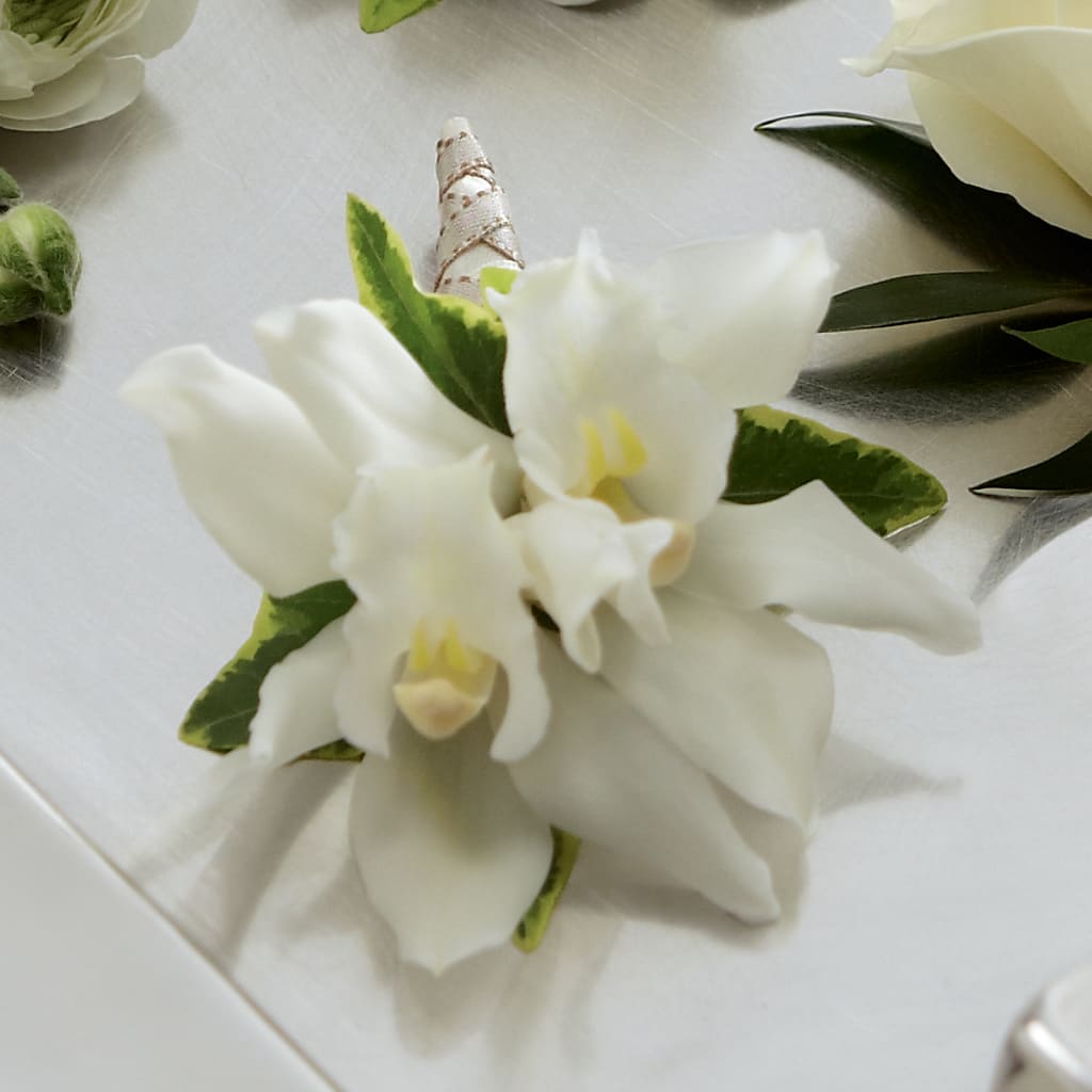White Mini Cymbidium Boutonniere – BRICK HOUSE FLORIST & GIFTS, Staunton IL