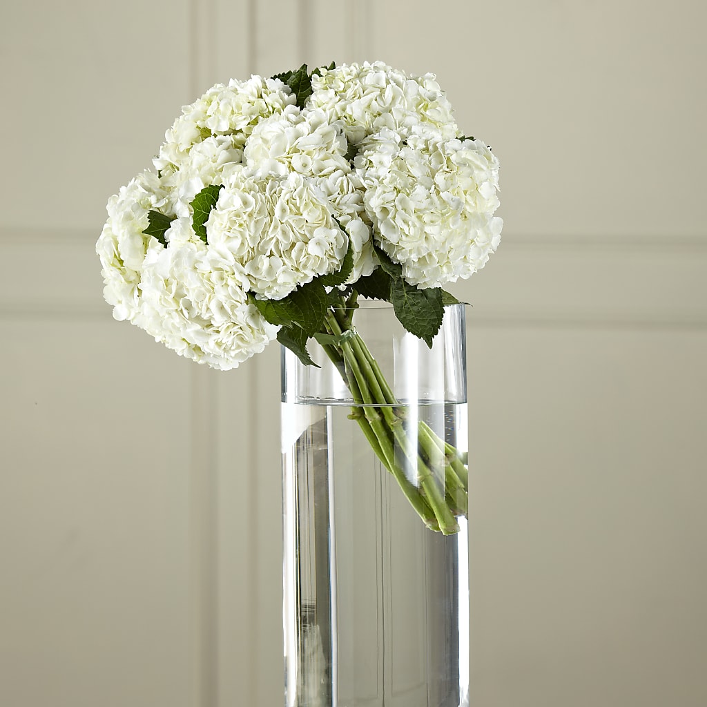 White Hydrangea Hand-Tied Bouquet – BRICK HOUSE FLORIST & GIFTS, Staunton IL