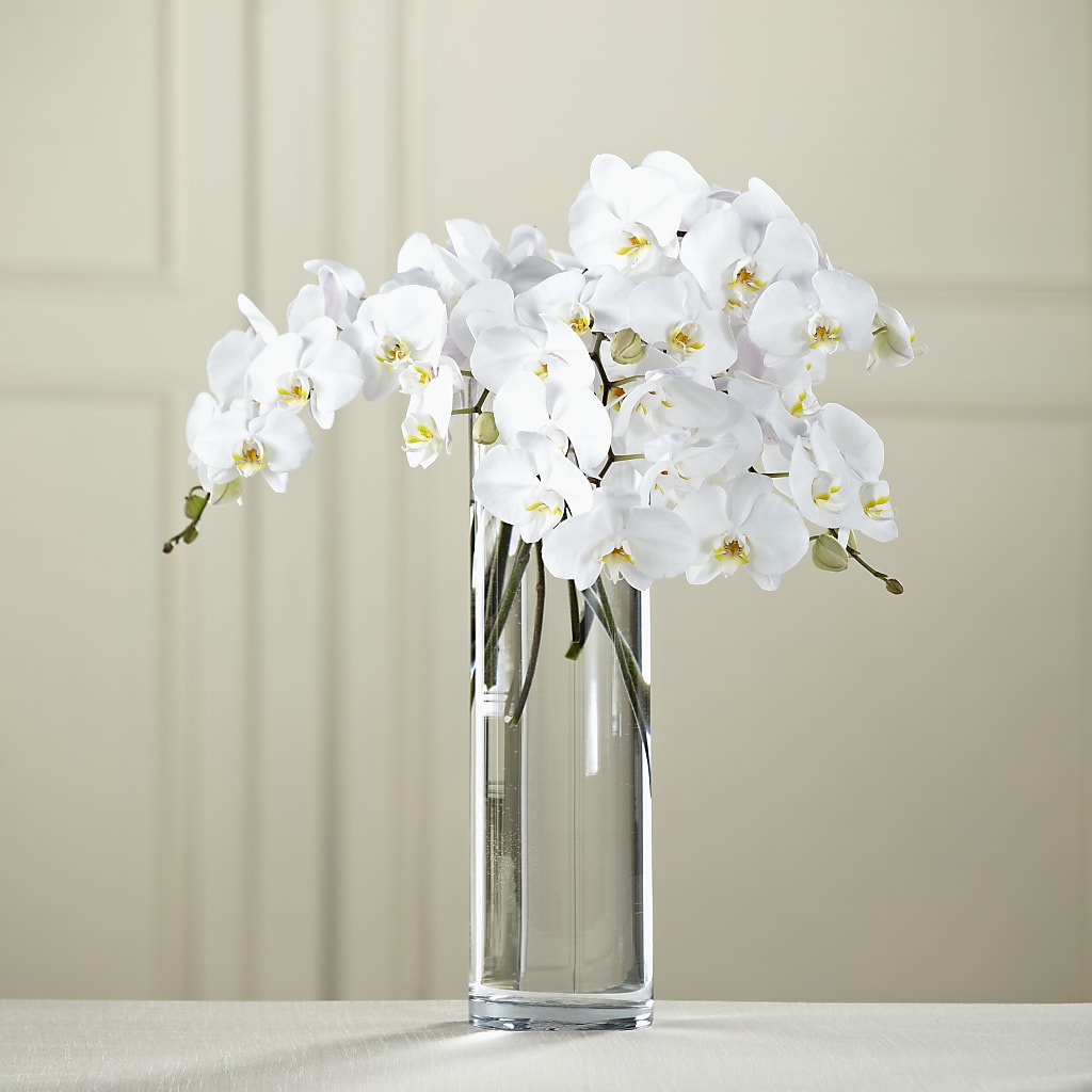 White Phalaenopsis Bouquet – BRICK HOUSE FLORIST & GIFTS, Staunton IL