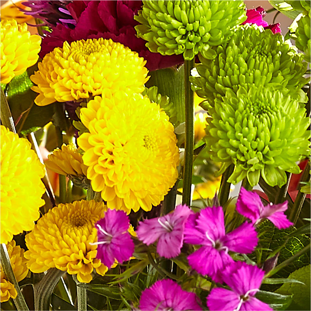 Bold & Bright – A Florist Original – BRICK HOUSE FLORIST & GIFTS, Staunton IL