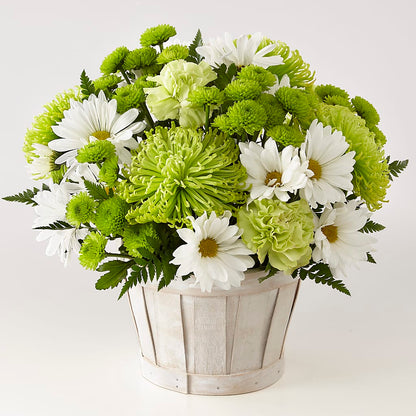 Lucky Charm Basket (Standard) – BRICK HOUSE FLORIST & GIFTS, Staunton IL
