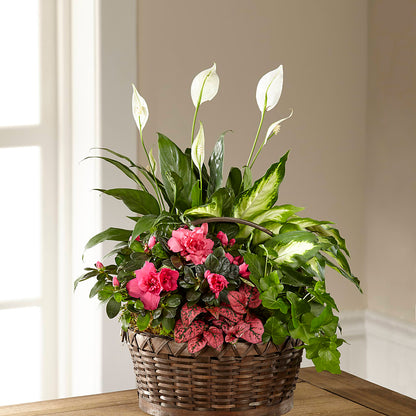 Dream in Pink Dishgarden – BRICK HOUSE FLORIST & GIFTS, Staunton IL