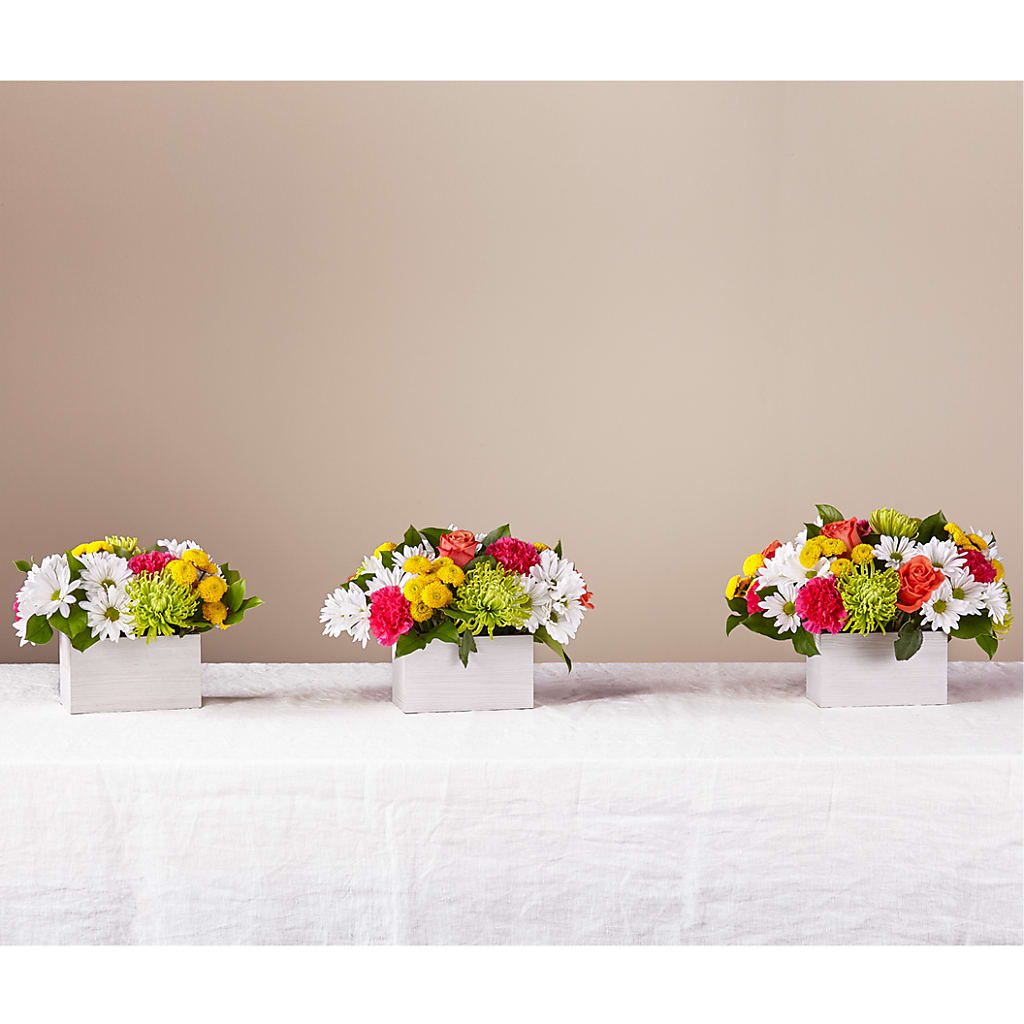 Sorbet Bouquet – BRICK HOUSE FLORIST & GIFTS, Staunton IL