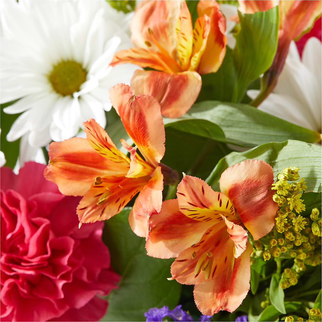 Oopsie Daisy Box Bouquet – BRICK HOUSE FLORIST & GIFTS, Staunton IL
