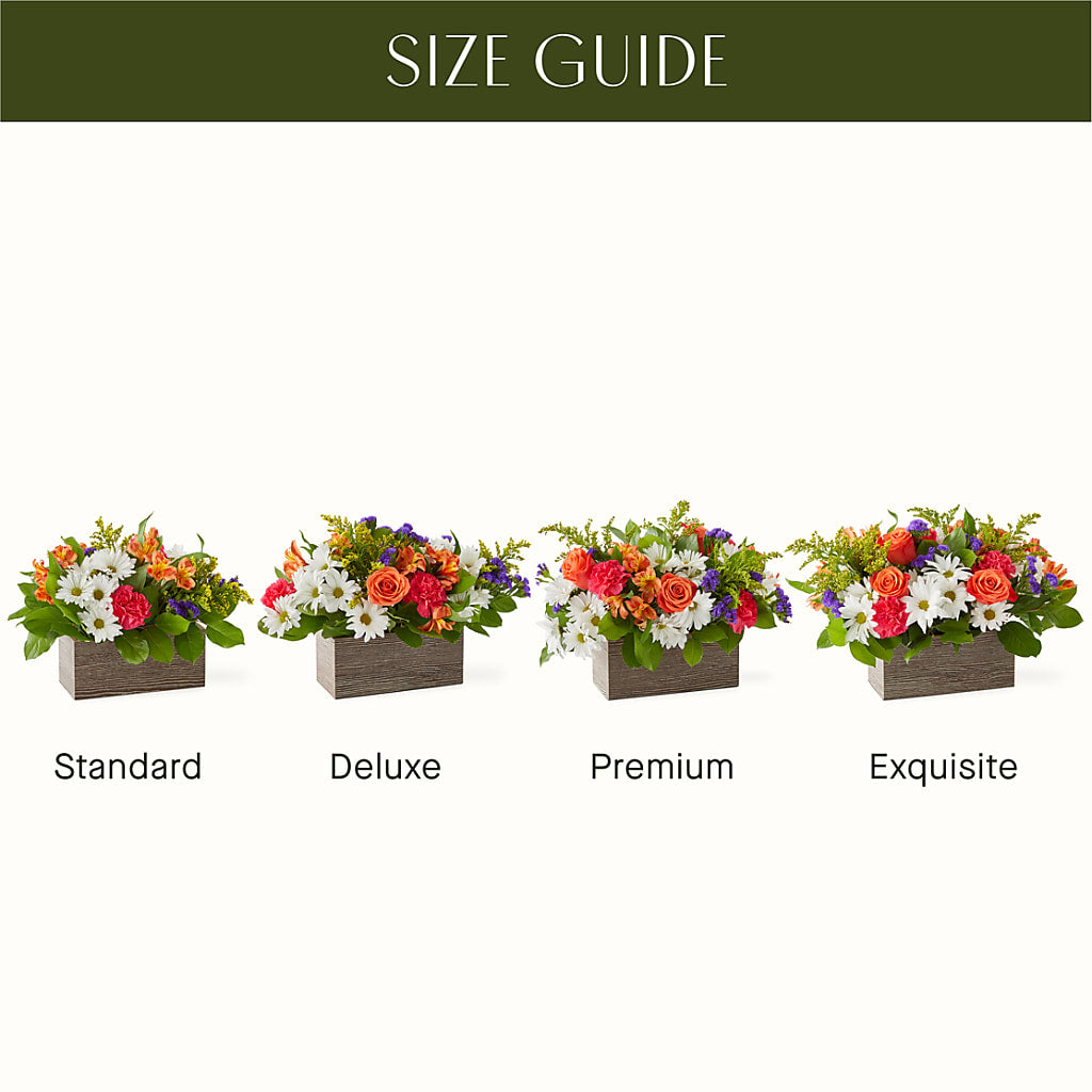 Oopsie Daisy Box Bouquet – BRICK HOUSE FLORIST & GIFTS, Staunton IL
