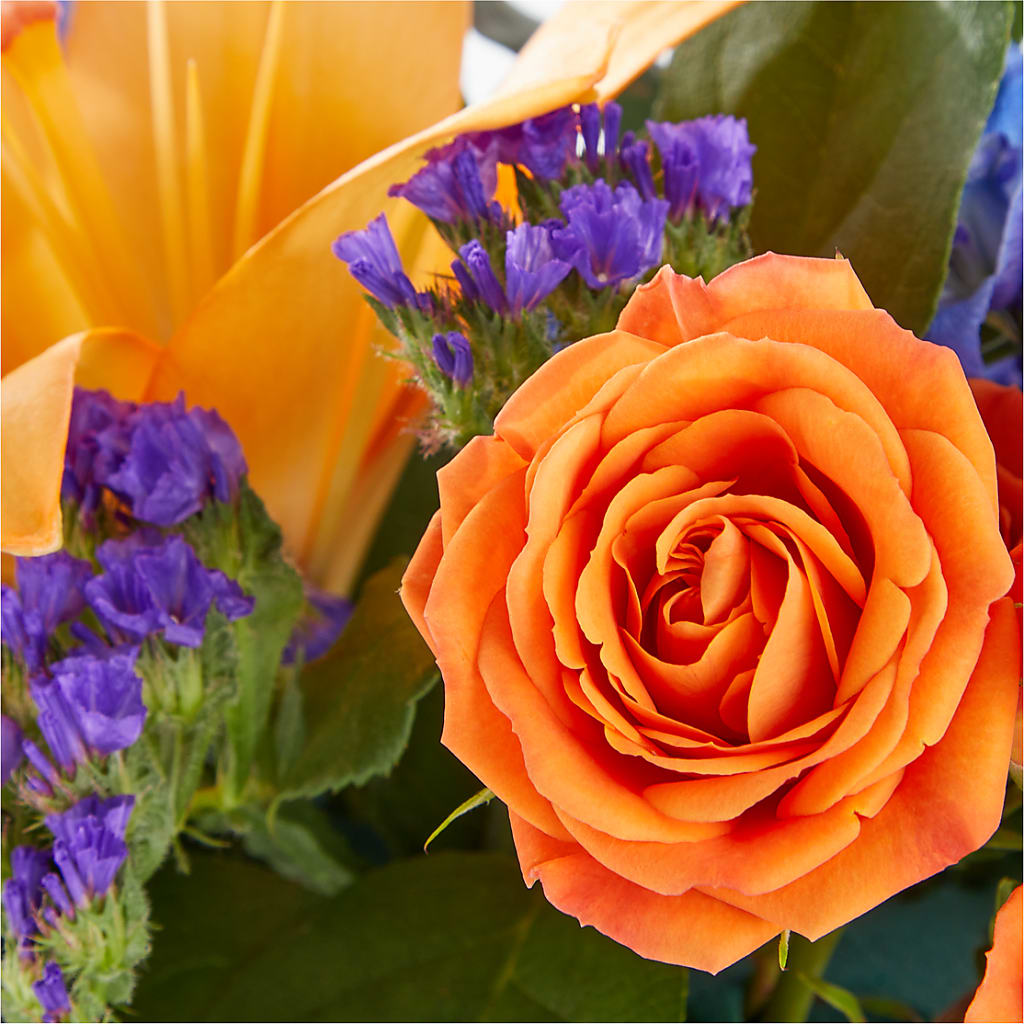 Radiant Citrus Box Bouquet – BRICK HOUSE FLORIST & GIFTS, Staunton IL