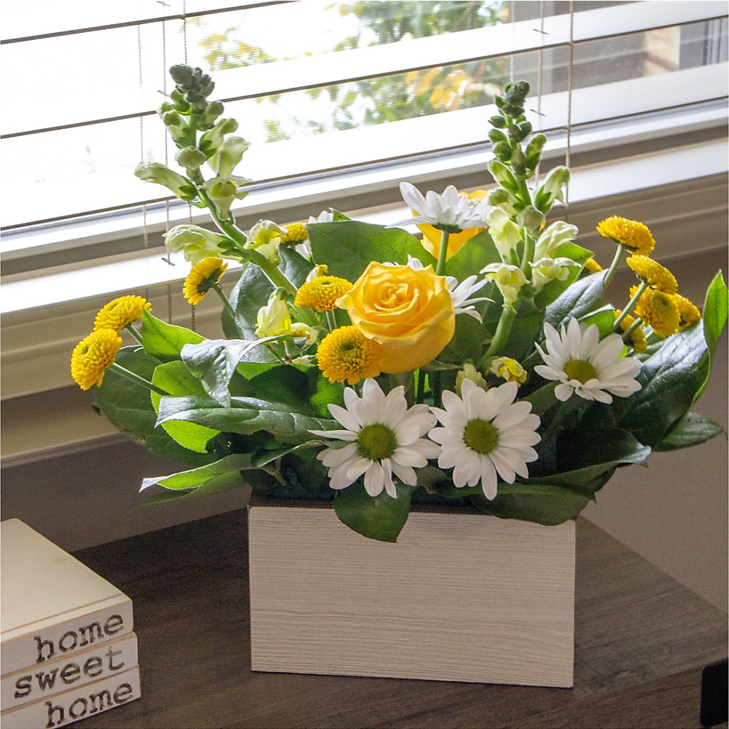 Sun Salutation Box Bouquet – BRICK HOUSE FLORIST & GIFTS, Staunton IL