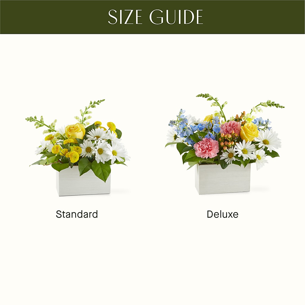 Sun Salutation Box Bouquet – BRICK HOUSE FLORIST & GIFTS, Staunton IL