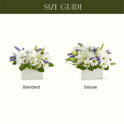 Beyond Blue Box Bouquet – BRICK HOUSE FLORIST & GIFTS, Staunton IL