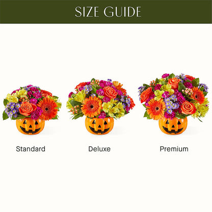 Tricks & Treats Pumpkin – BRICK HOUSE FLORIST & GIFTS, Staunton IL