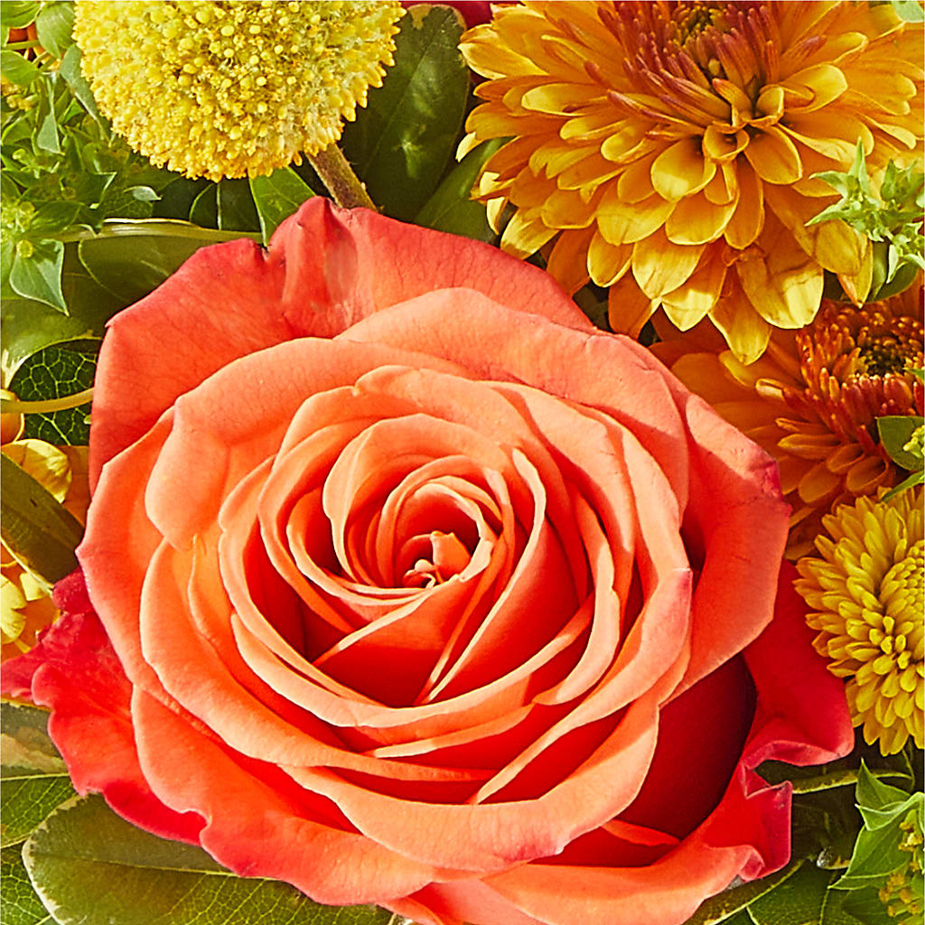 Gourdgeous Pumpkin – BRICK HOUSE FLORIST & GIFTS, Staunton IL