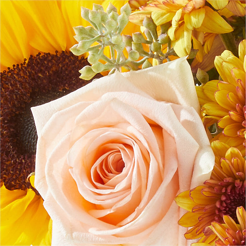 Pumpkin to Talk About Bouquet – BRICK HOUSE FLORIST & GIFTS, Staunton IL