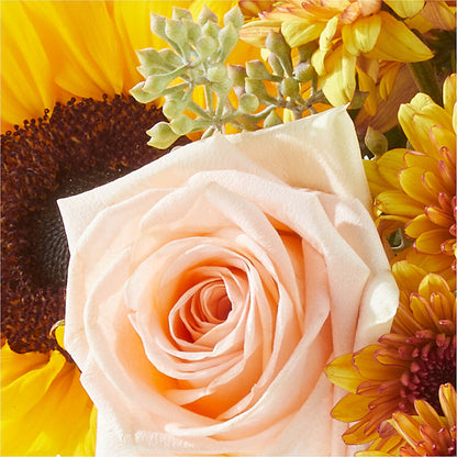 Pumpkin to Talk About Bouquet – BRICK HOUSE FLORIST & GIFTS, Staunton IL