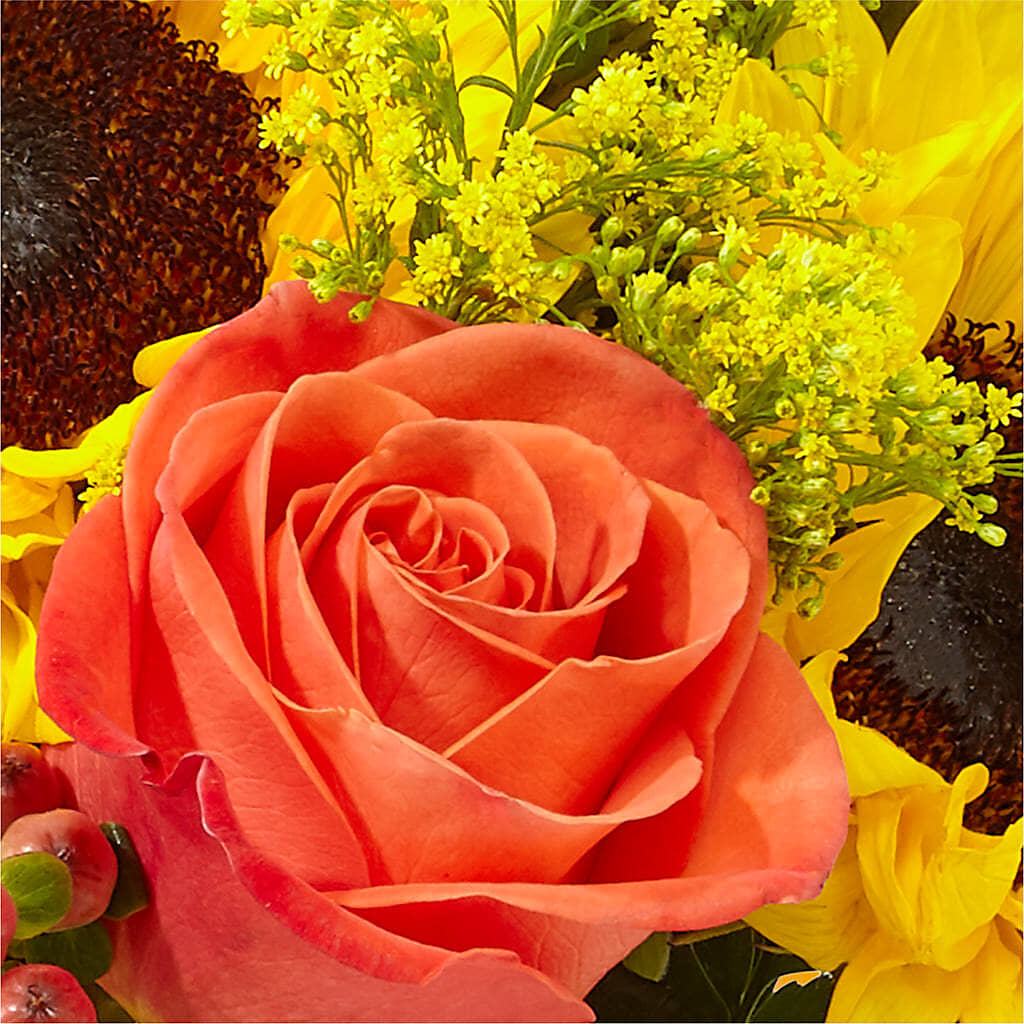Pick of the Patch Pumpkin Bouquet – BRICK HOUSE FLORIST & GIFTS, Staunton IL