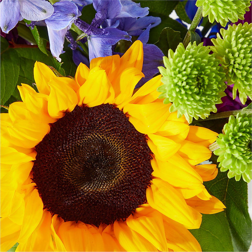 Catching Rays Bouquet – BRICK HOUSE FLORIST & GIFTS, Staunton IL
