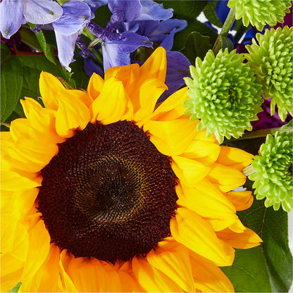 Catching Rays Bouquet – BRICK HOUSE FLORIST & GIFTS, Staunton IL