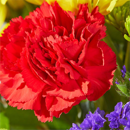 Brighter Days Bouquet – BRICK HOUSE FLORIST & GIFTS, Staunton IL