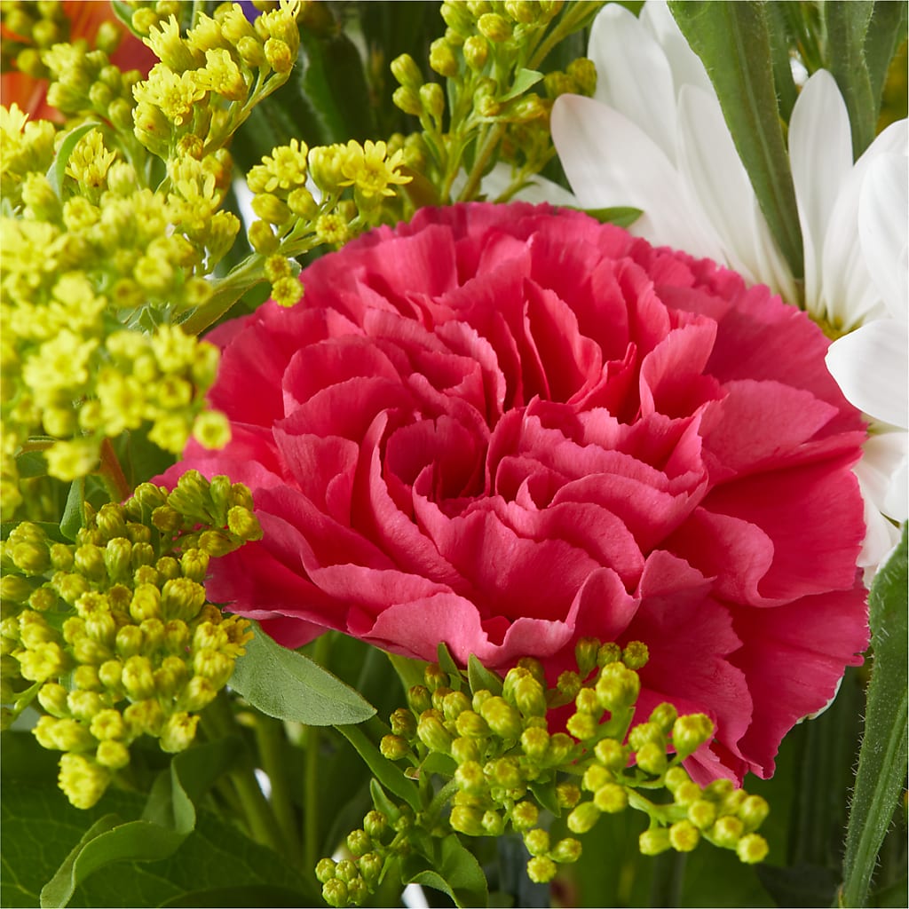 Oopsie Daisy Bouquet – BRICK HOUSE FLORIST & GIFTS, Staunton IL