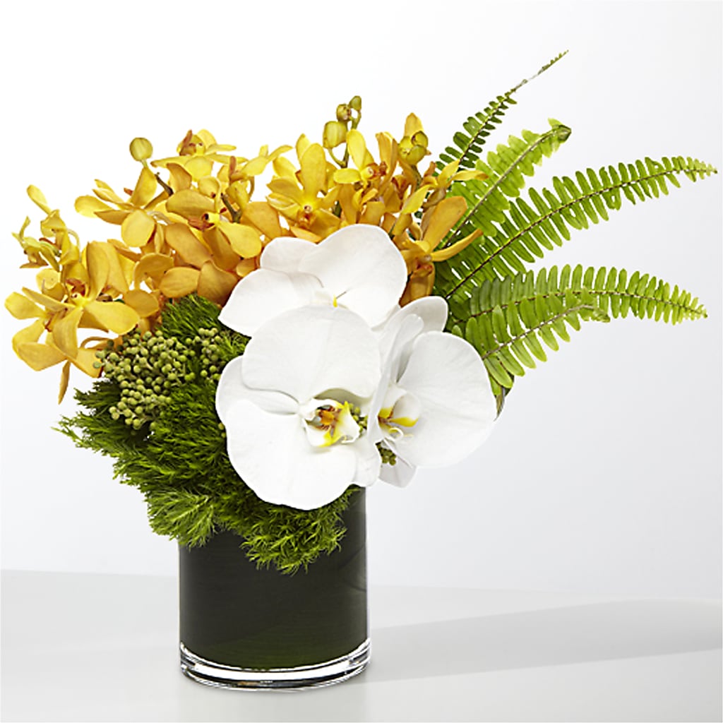 The Tropics – BRICK HOUSE FLORIST & GIFTS, Staunton IL