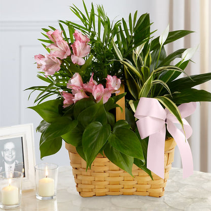 Living Spirit Dishgarden – BRICK HOUSE FLORIST & GIFTS, Staunton IL