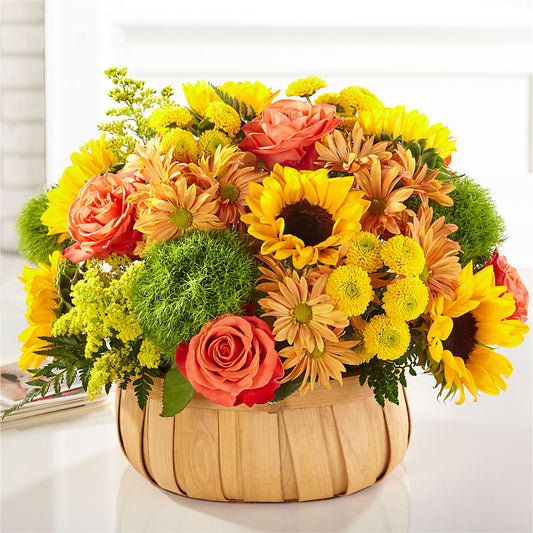 Harvest Sunflower Basket – BRICK HOUSE FLORIST & GIFTS, Staunton IL