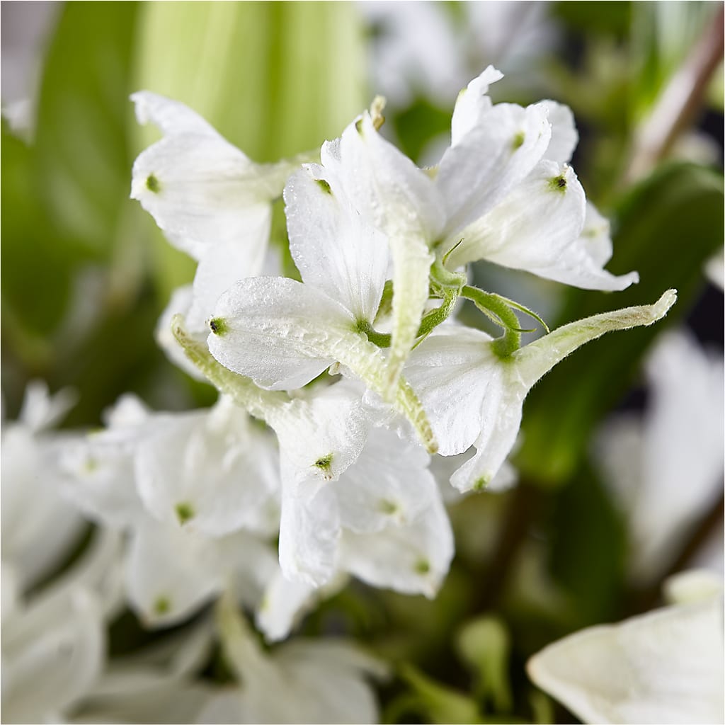 Classic Ivory – A Florist Original – BRICK HOUSE FLORIST & GIFTS, Staunton IL