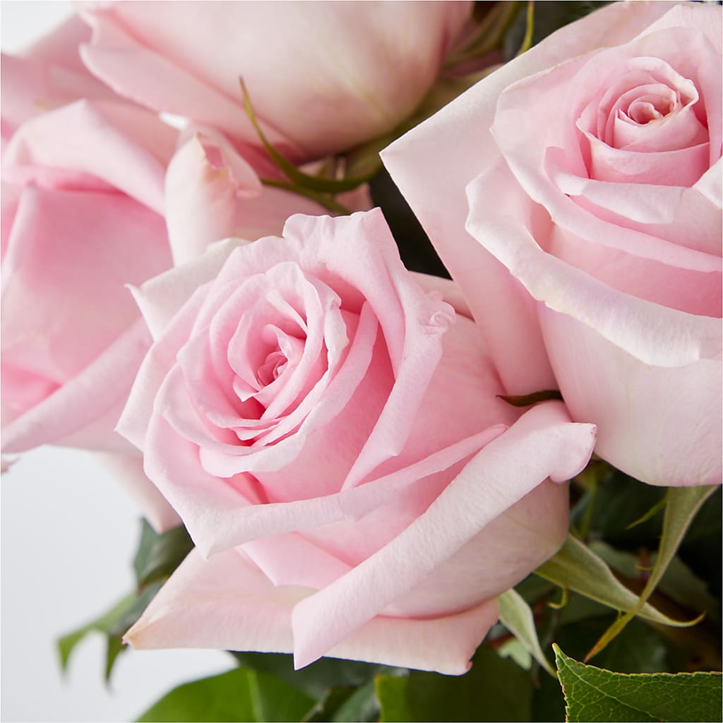 Picture Perfect Pink Rose Bouquet – BRICK HOUSE FLORIST & GIFTS, Staunton IL