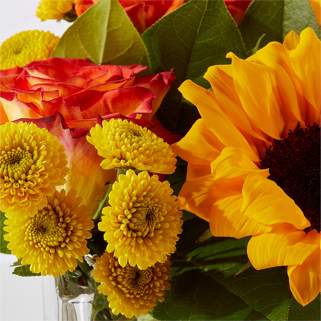 Picnic in the Park Bouquet – BRICK HOUSE FLORIST & GIFTS, Staunton IL
