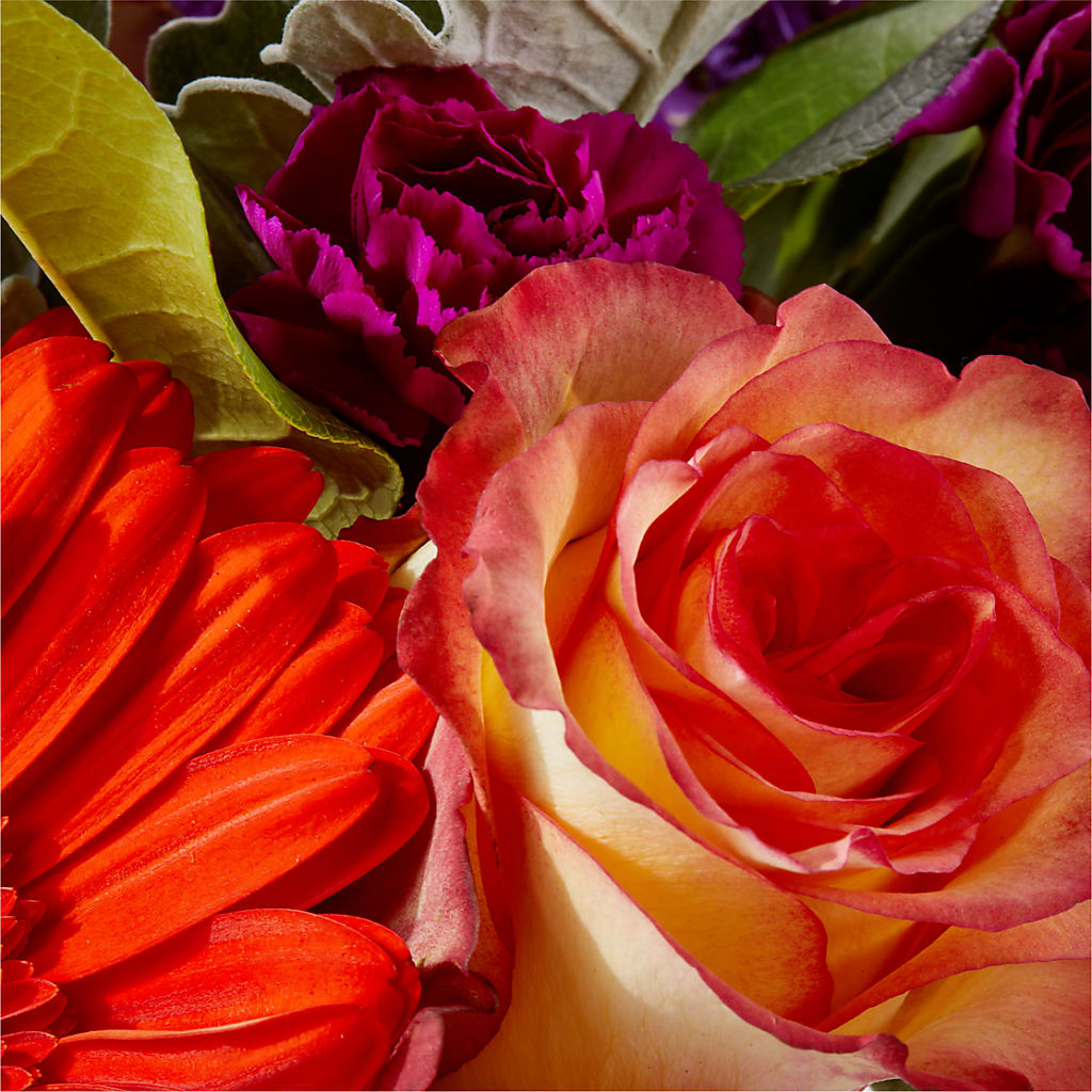 Sangria Bouquet – BRICK HOUSE FLORIST & GIFTS, Staunton IL