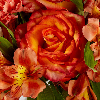Apricot Glow Bouquet – BRICK HOUSE FLORIST & GIFTS, Staunton IL