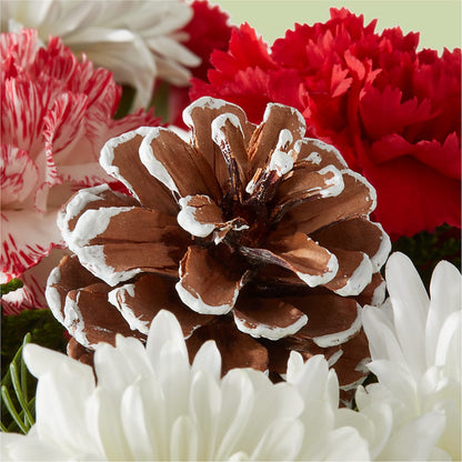 Candy Cane Lane Bouquet – BRICK HOUSE FLORIST & GIFTS, Staunton IL